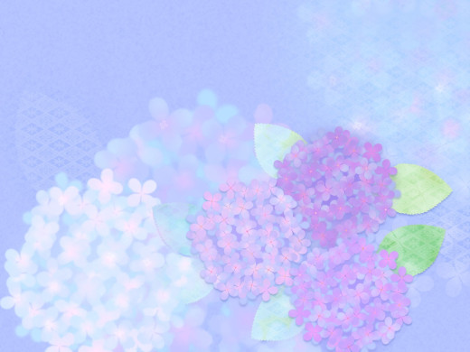 417082 (a): :1600x1200
